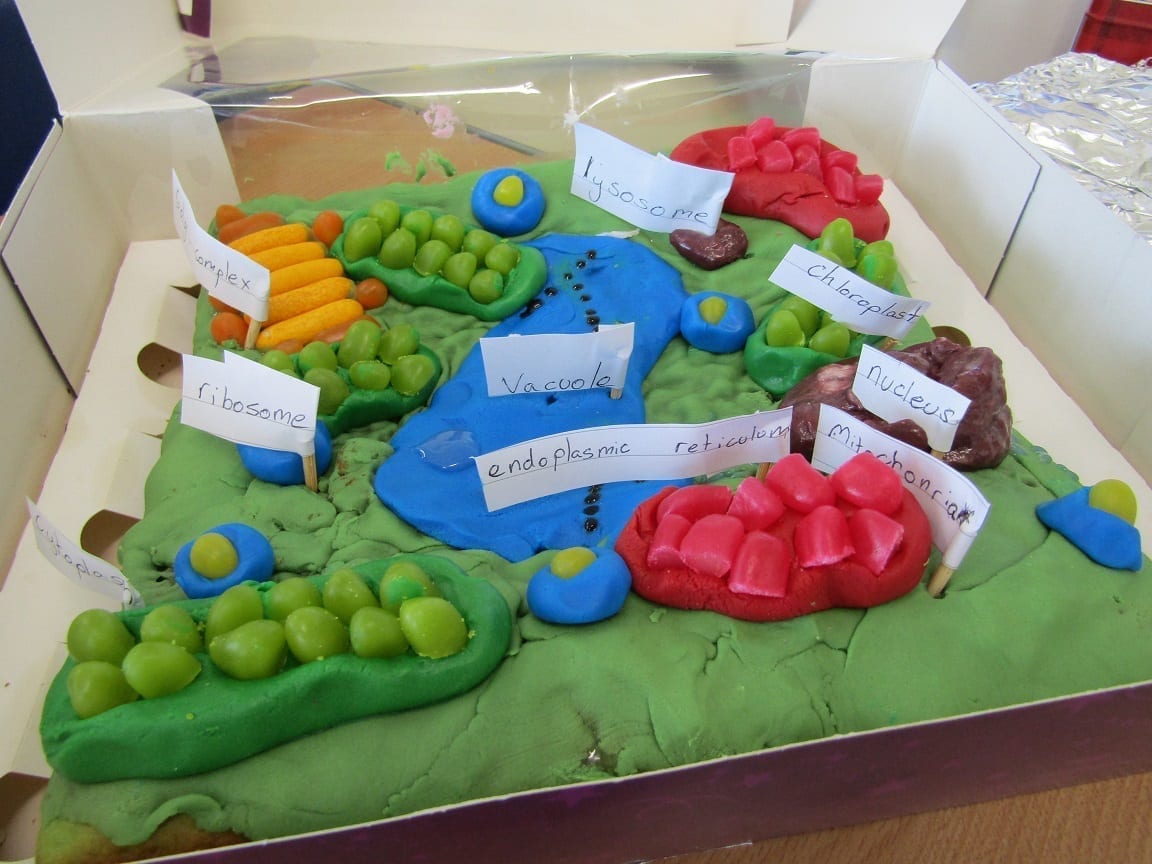 Walton’s young scientists – going the extra mile