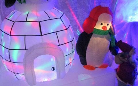 Walton Winter Wonderland