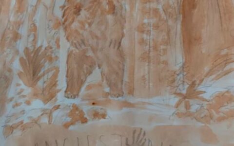 Year 9 student wins national illustration competition